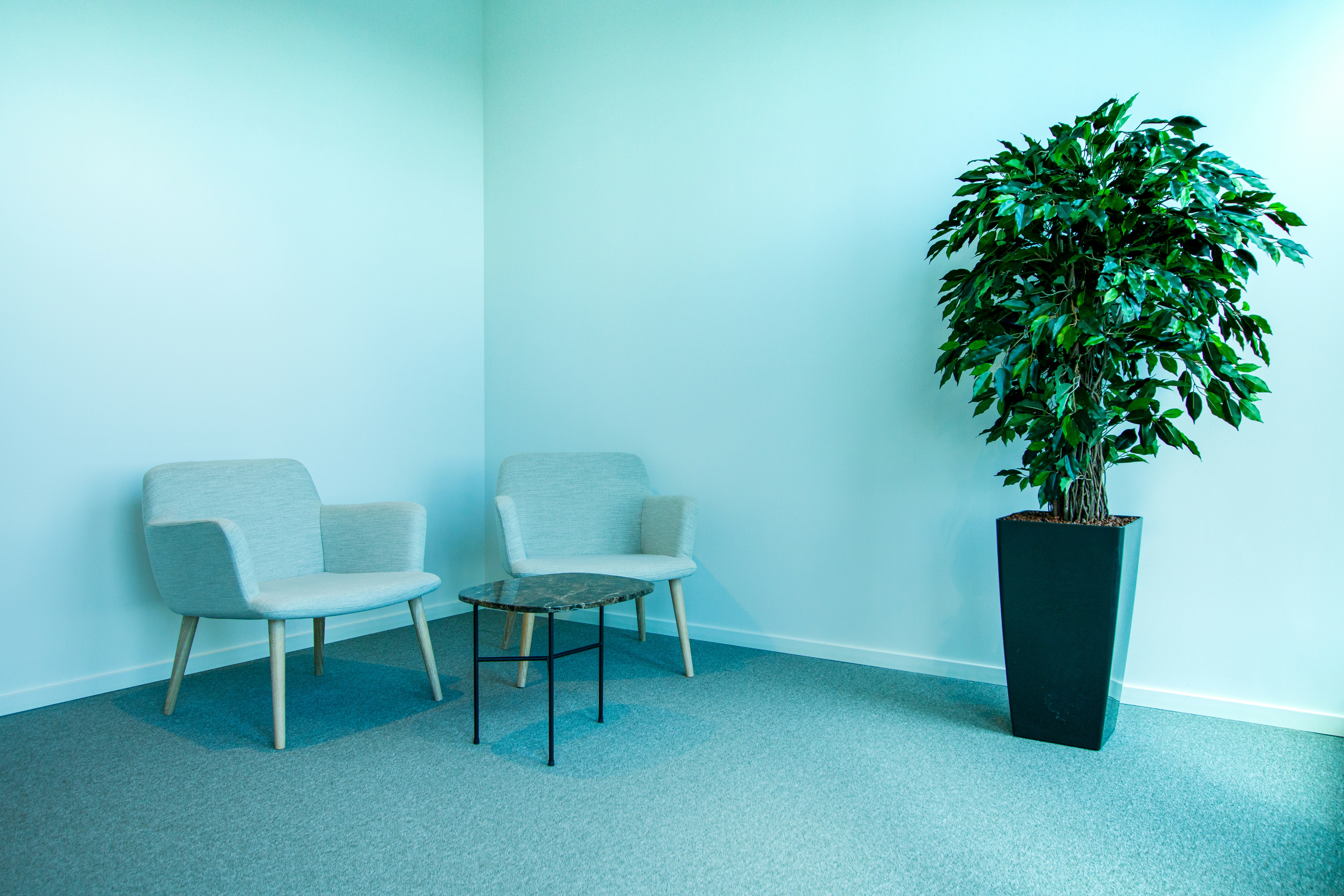 Illustration de l'article : Comment Aménager une Salle d'Attente Apaisante pour Vos Patients (et Leurs Enfants)